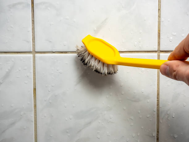 Best Black Mold Remediation in Eton, GA